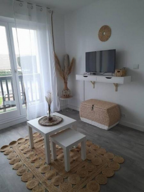 Appartement T2 avec balcon refait à neuf